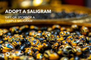 Adopt a Saligram