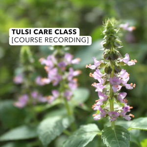 Course Recording: Tulsi Care Class